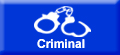 Criminal Defense Attorney in Los Angeles